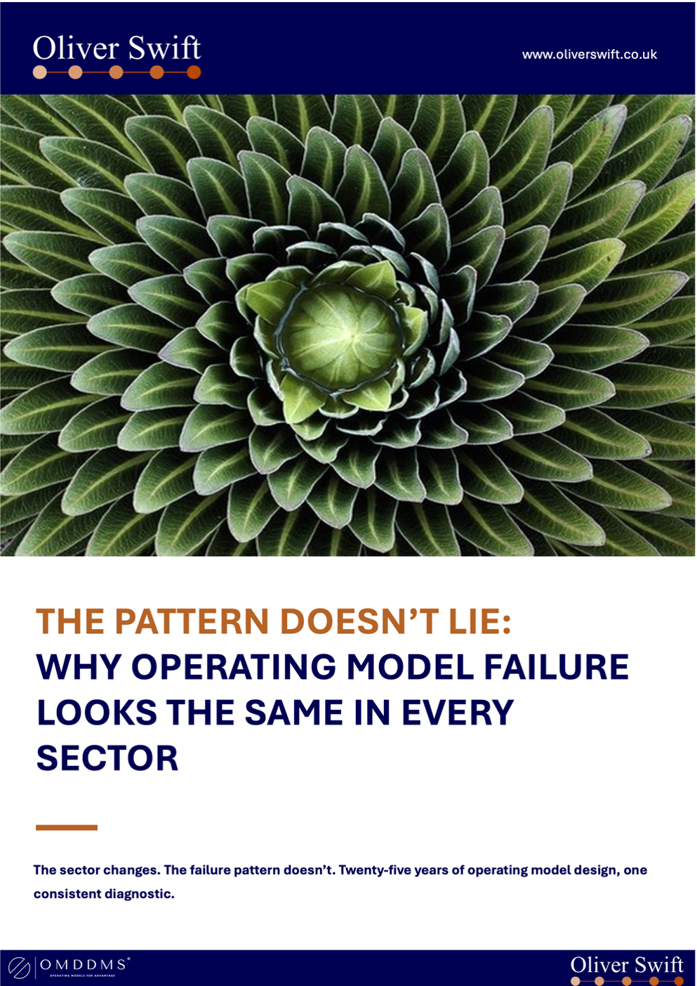 The Pattern Doesn't Lie: Why Operating Model Failure Looks the Same in Every Sector